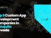 9 Top Custom App Development Companies in Mesquite